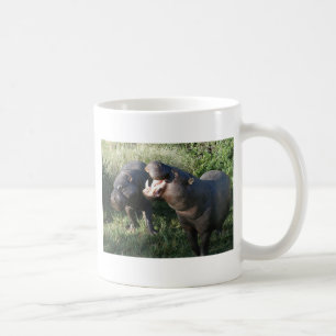 Hippopotamus Coffee Mug