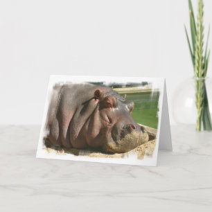 Hippopotamus Greeting Card