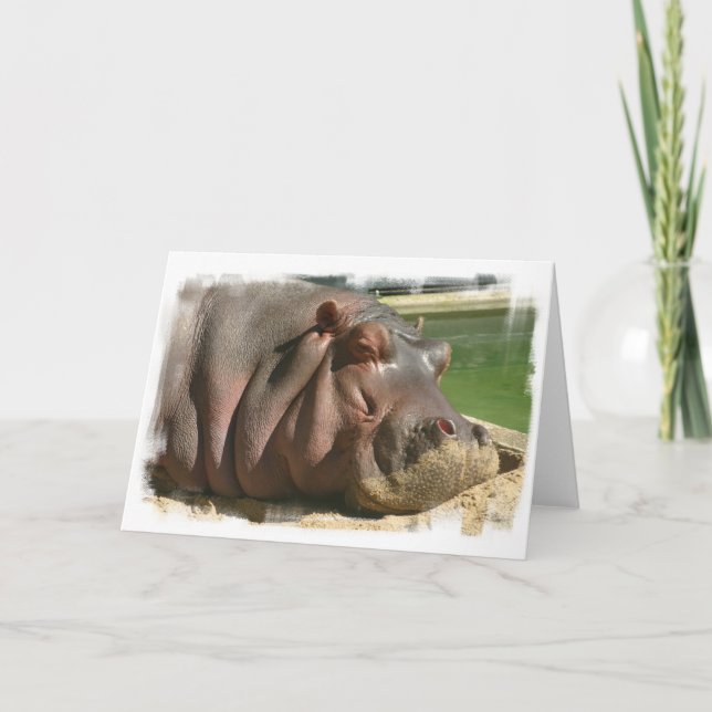 Hippopotamus Greeting Card (Front)