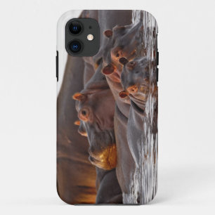 Hippopotamus, Hippopotamus amphibius, Lake iPhone 11 Case