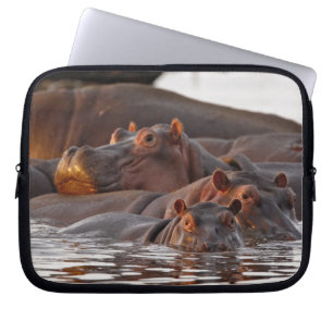 Hippopotamus, Hippopotamus amphibius, Lake Laptop Sleeve