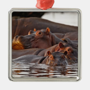Hippopotamus, Hippopotamus amphibius, Lake Metal Tree Decoration