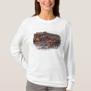 Hippopotamus, Hippopotamus amphibius, Lake T-Shirt