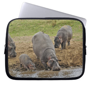 Hippopotamus, Hippopotamus amphibius, Serengeti Laptop Sleeve