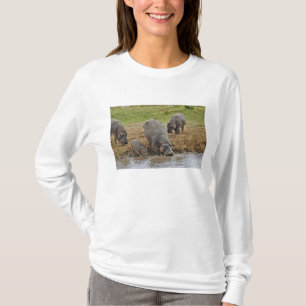 Hippopotamus, Hippopotamus amphibius, Serengeti T-Shirt