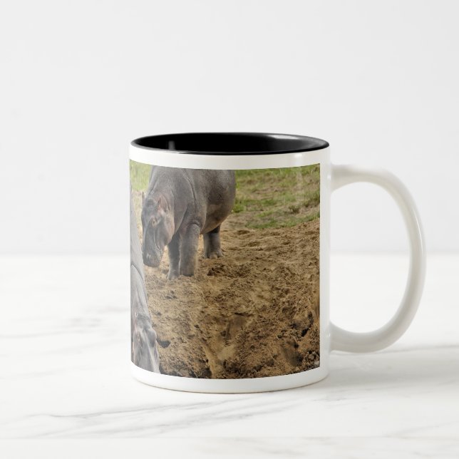 Hippopotamus, Hippopotamus amphibius, Serengeti Two-Tone Coffee Mug (Right)