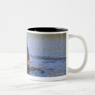Hippopotamus in River Two-Tone Coffee Mug
