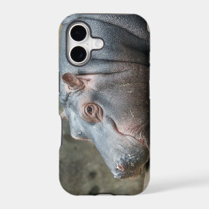 Hippopotamus iPhone case