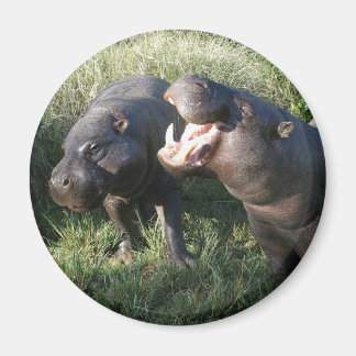 Hippopotamus Magnet