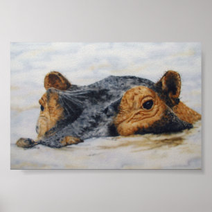 hippopotamus poster