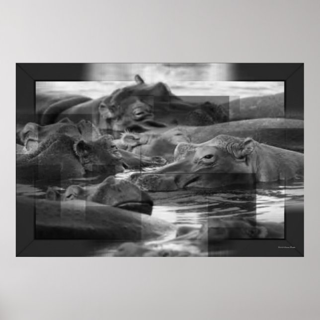 Hippopotamus Print (Front)