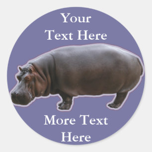 Hippopotamus Stickers