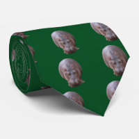 hippopotamus