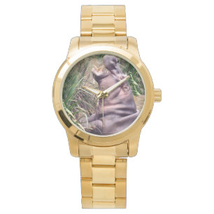 Hippopotamus Trying To Climb, Watch