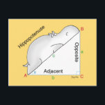HIPPOPOTENUSE postcard by Sandra Boynton<br><div class="desc">This helpful geometry diagram shows the parts of a right triangle: the adjacent,  the opposite,  and the…wait. What? (A classic Boynton design from 1980,  which she redrew in 2013.)</div>