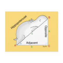 HIPPOPOTENUSE postcard by Sandra Boynton