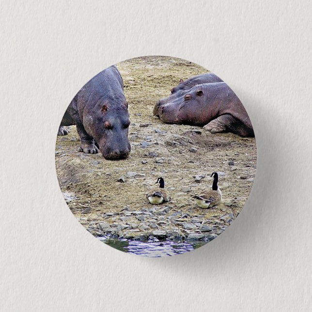 HIPPOS 3 CM ROUND BADGE (Front)