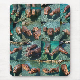 Hippos at Play: A Pond Paradise Mouse Pad
