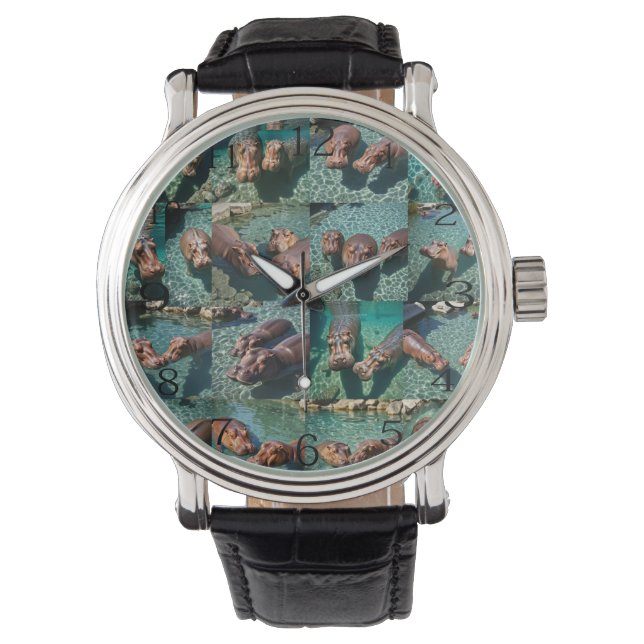 Hippos at Play: A Pond Paradise Watch (Front)