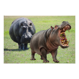 Hippos love Burgers. Poster