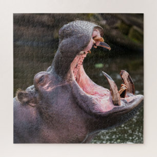 Hippo's Massive Jaws Jigsaw Puzzle