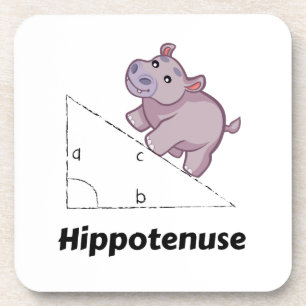 Hippotenuse Funny Math Coaster