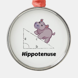 Hippotenuse Funny Math Metal Ornament