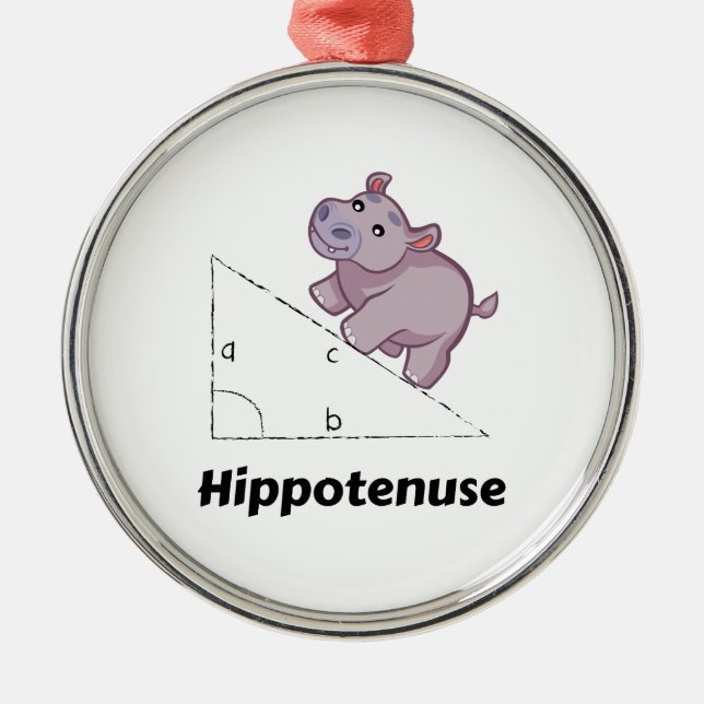 Hippotenuse Funny Math Metal Ornament (Front)