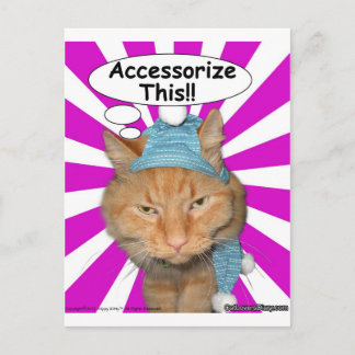 Hippy Kitty Accessorize This!! Postcard