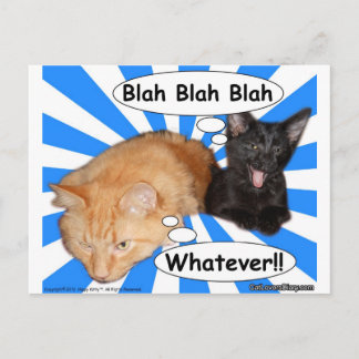 Hippy Kitty Blah Blah Blah Whatever!! Postcard