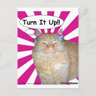 Hippy Kitty Turn It Up!! Postcard