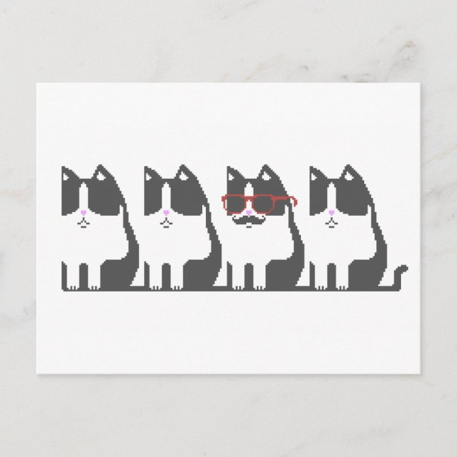 Hipster Cat Standing Out Pixel Art Postcard (Front)