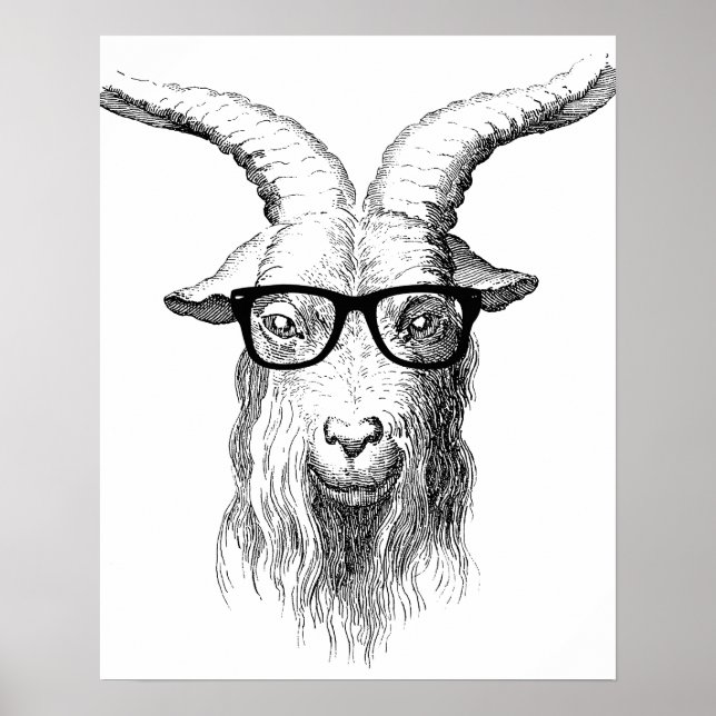 Hipster Goat Poster (Front)