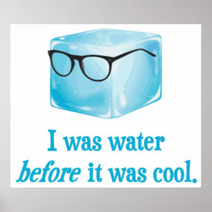 Hipster Ice Cube Was Water Before It Was Cool Poster