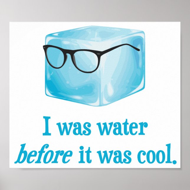 Hipster Ice Cube Was Water Before It Was Cool Poster (Front)