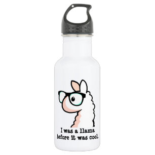 Hipster Llama 532 Ml Water Bottle