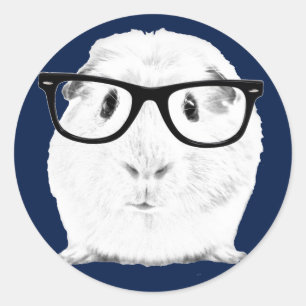 Hipster Pigster Classic Round Sticker