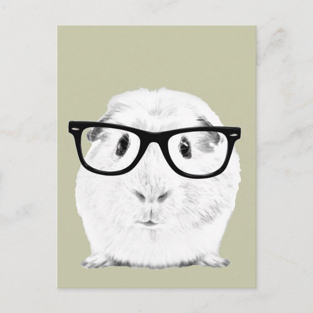 Hipster Pigster Postcard (Front)