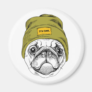 Hipster Pug   It's Cool Magnet