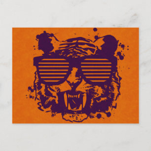 Hipster Tiger Postcard