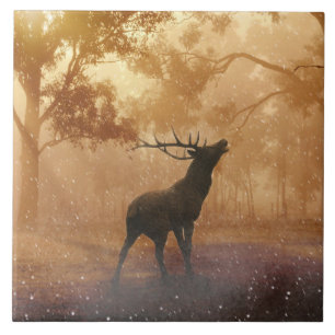 Hirsch beautiful nature scenery ceramic tile