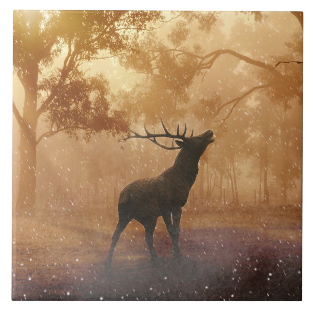 Hirsch beautiful nature scenery ceramic tile (Front)