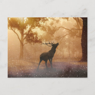 Hirsch beautiful nature scenery postcard