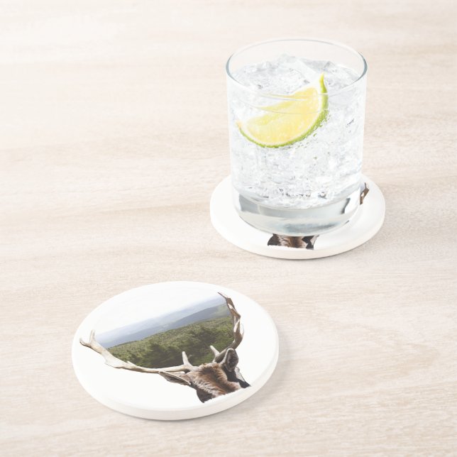 His Domain Coaster (Side)