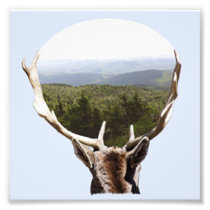 His Domain Photo Print