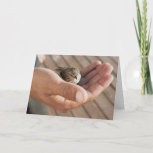 His eye is on the sparrow Christian Greeting Card
