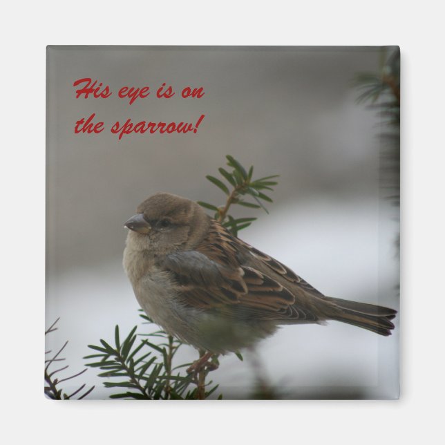 His eye is on the sparrow!  Magnet (Front)