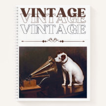 His Master's Voice Vintage Stacked