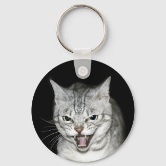 Hissing cat key ring