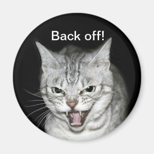 Hissing cat magnet